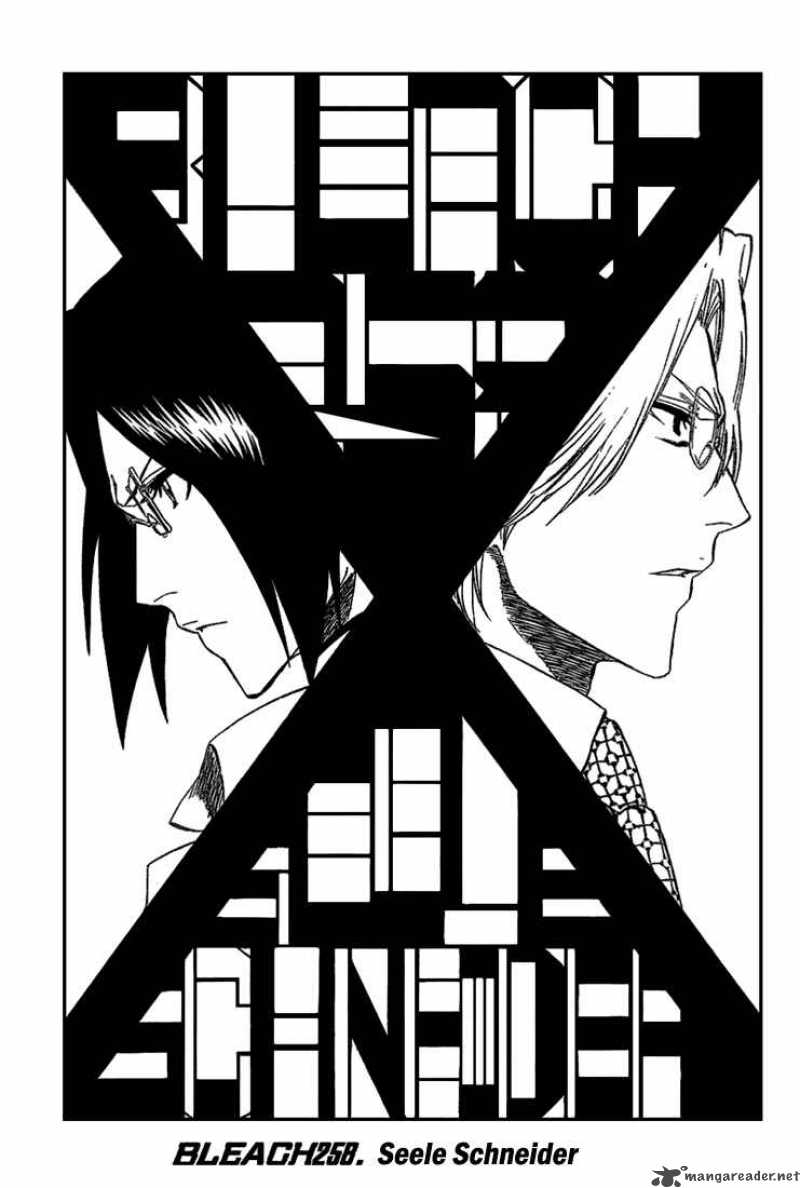 Bleach Chapter 258 Page 5