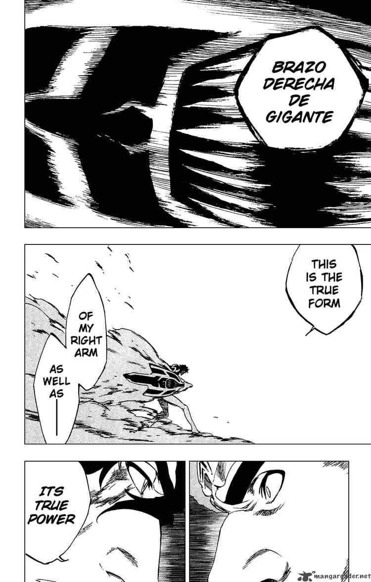 Bleach Chapter 260 Page 4