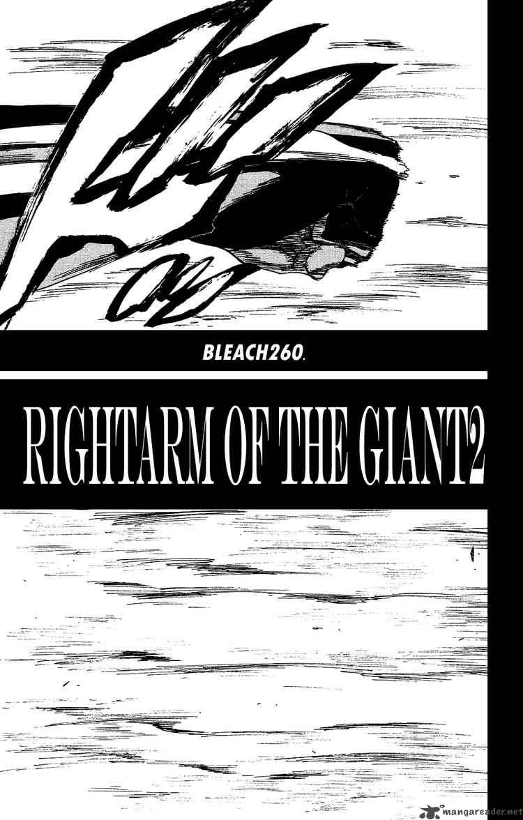 Bleach Chapter 260 Page 5