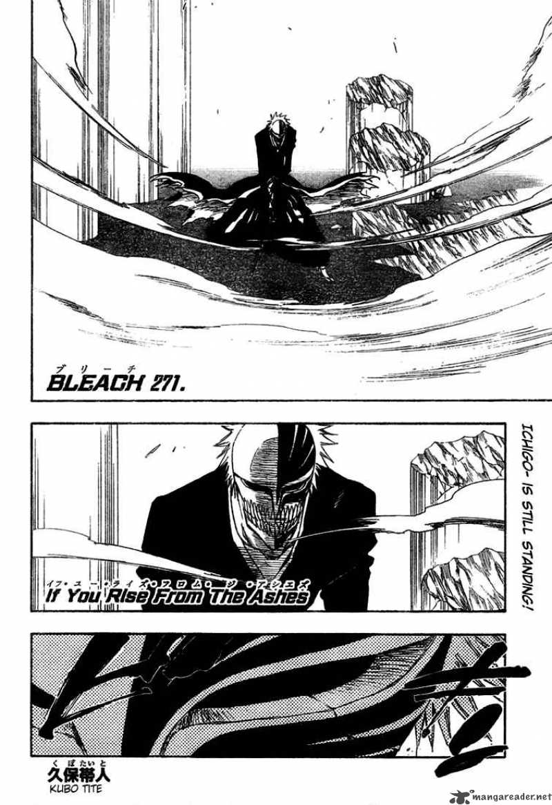 Bleach Chapter 271 Page 3