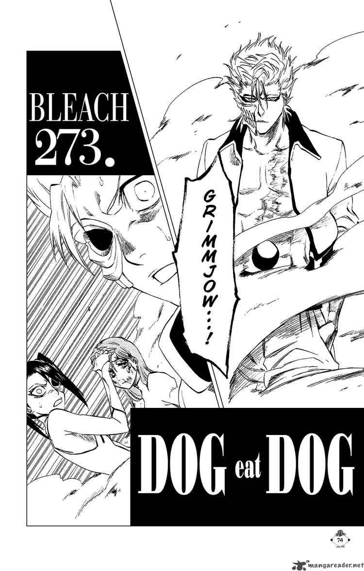 Bleach Chapter 273 Page 2