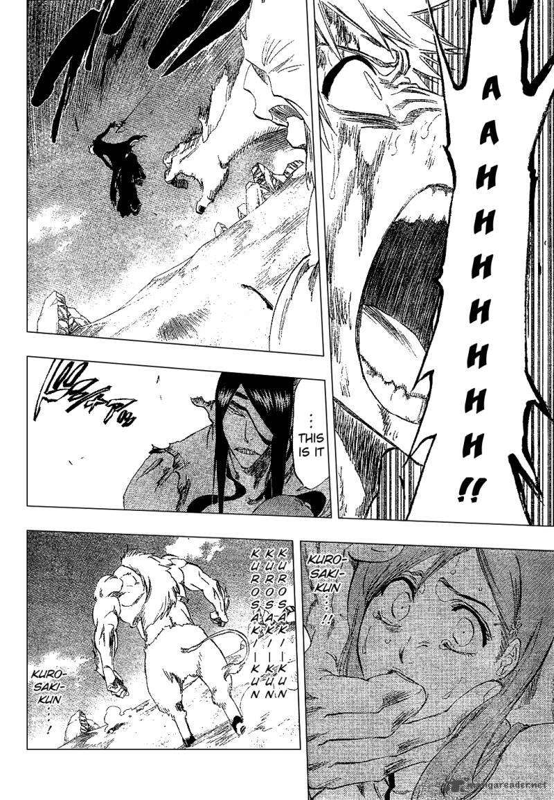 Bleach Chapter 297 Page 17