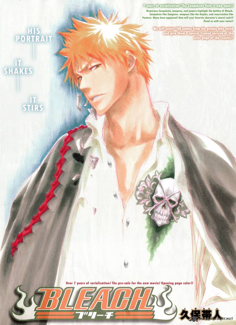 Bleach Chapter 323 Page 4