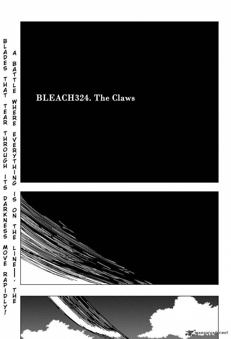 Bleach Chapter 324 Page 5