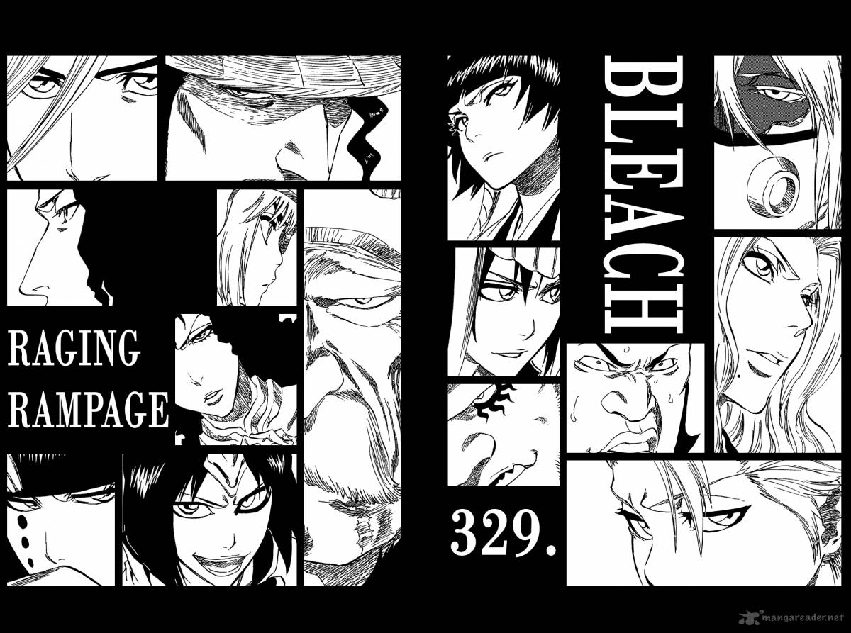 Bleach Chapter 329 Page 11