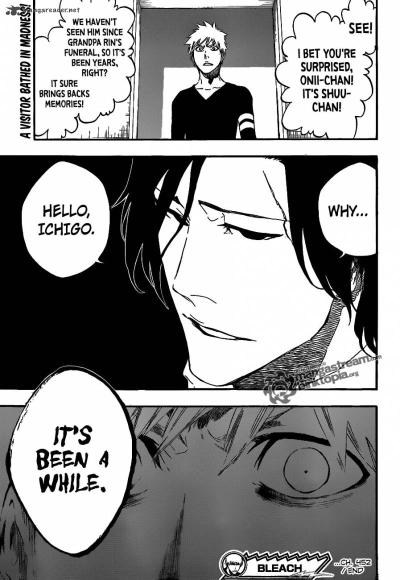 Bleach Chapter 452 Page 19