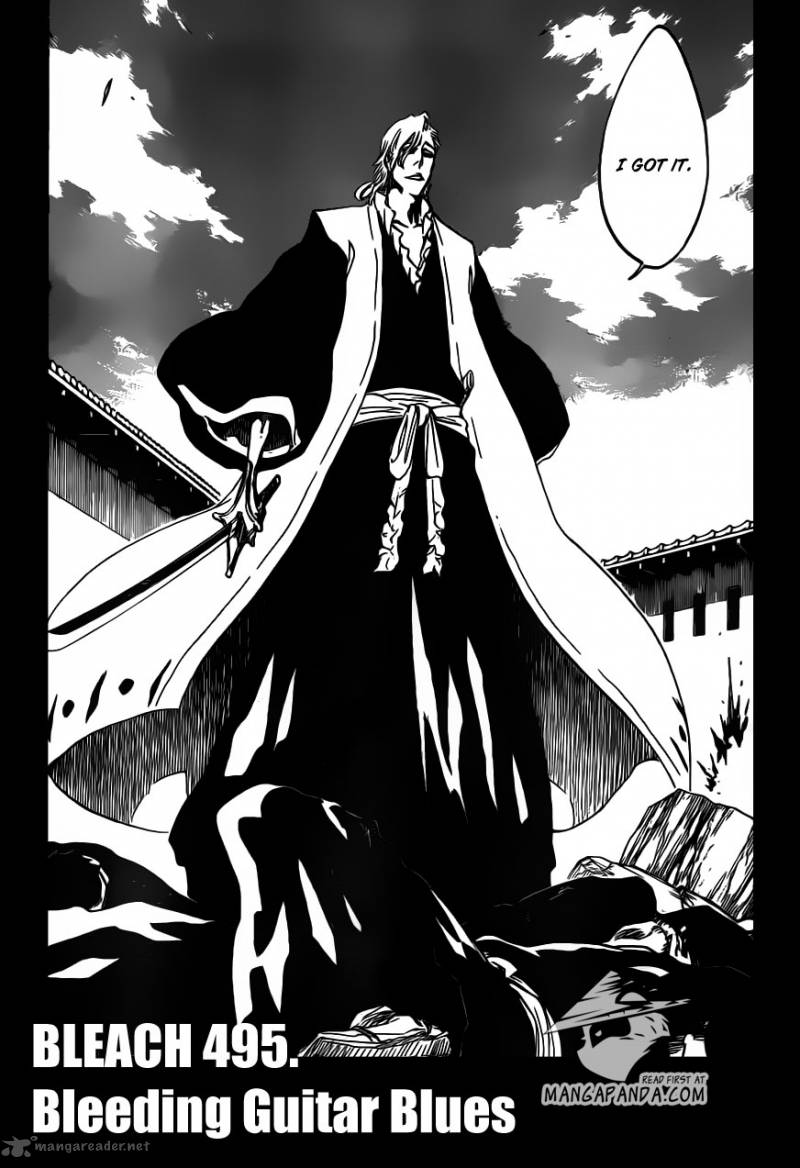 Bleach Chapter 495 Page 3