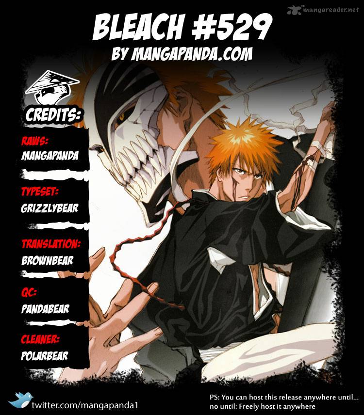 Bleach Chapter 529 Page 22