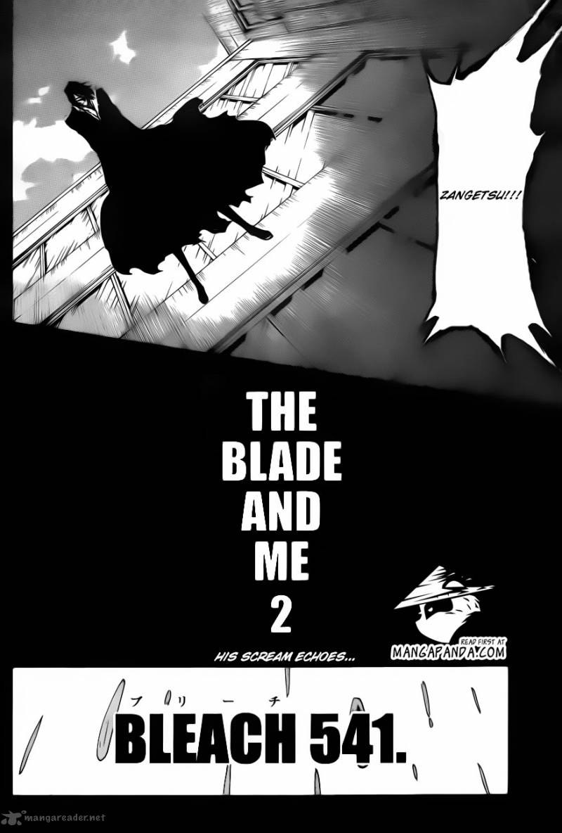 Bleach Chapter 541 Page 6