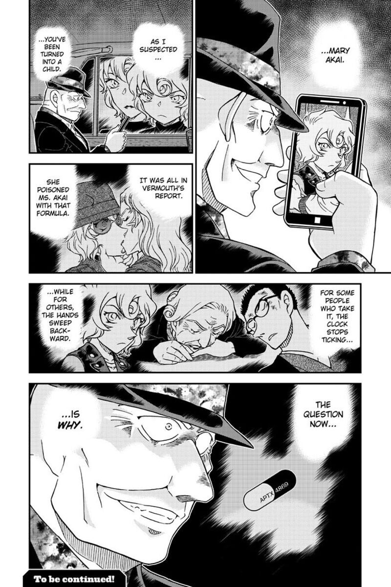 Detective Conan Chapter 1153 Page 17