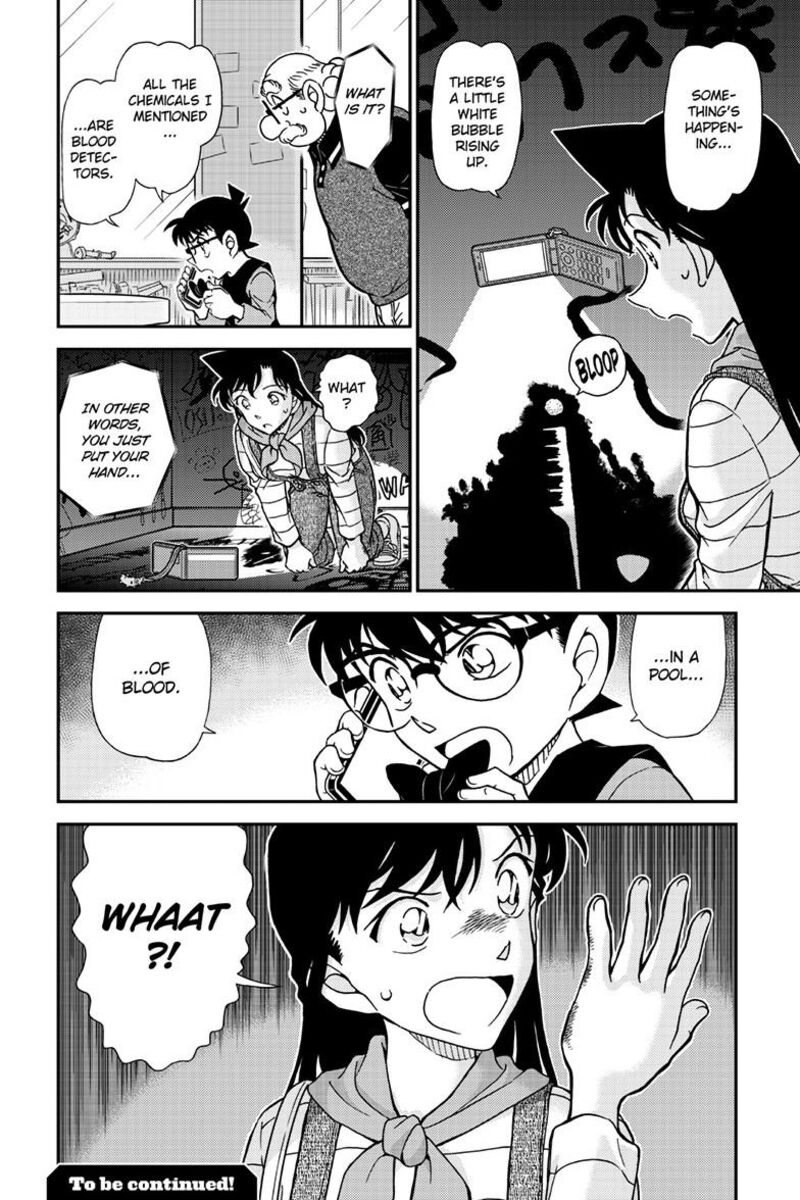 Detective Conan Chapter 1167 Page 17