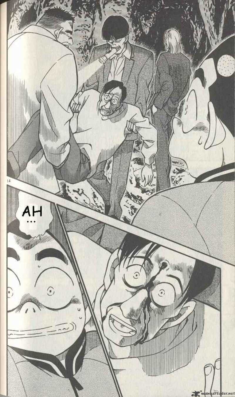 Detective Conan Chapter 251 Page 14