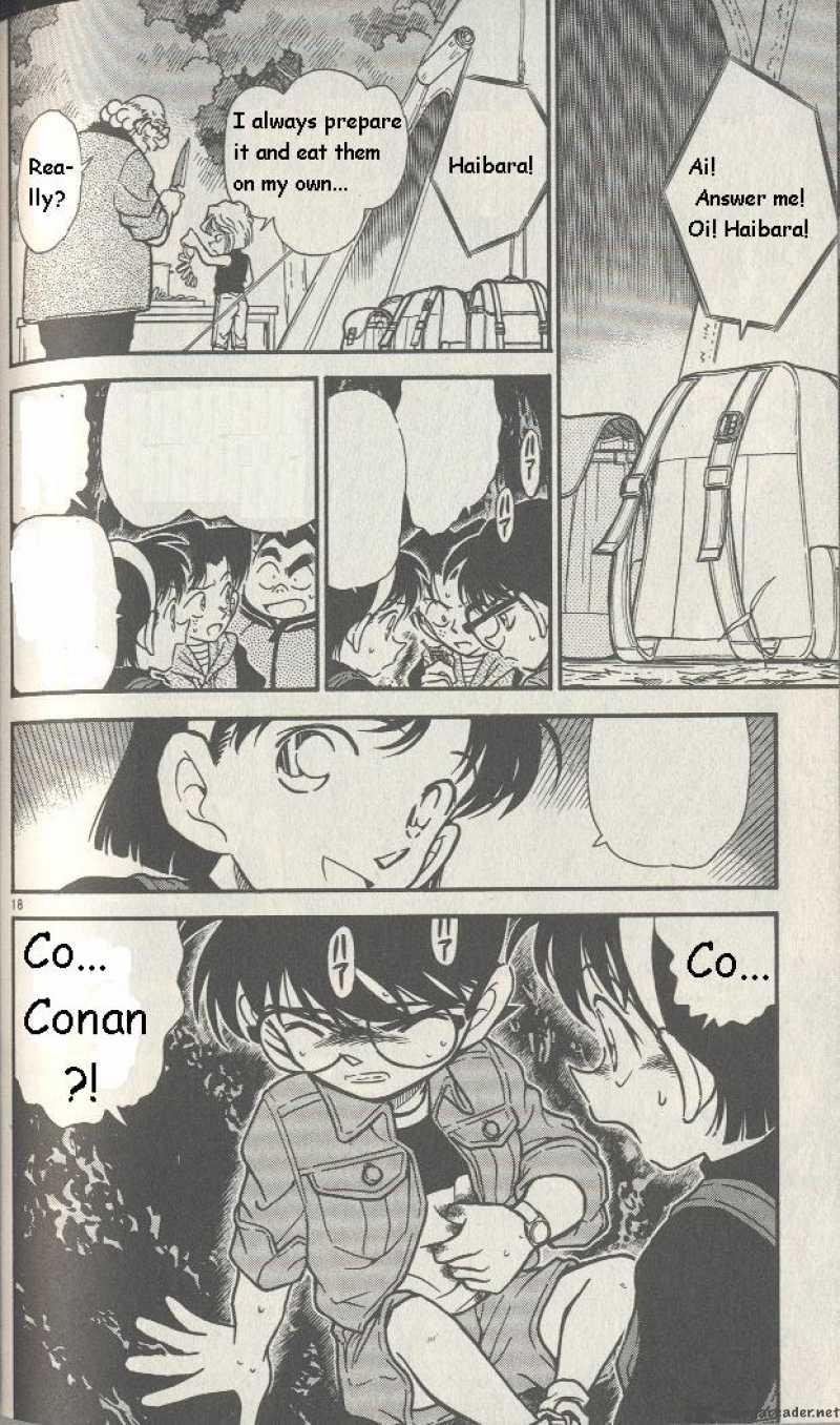 Detective Conan Chapter 251 Page 18