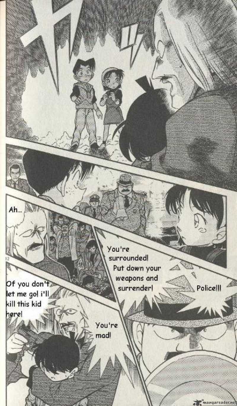 Detective Conan Chapter 253 Page 12