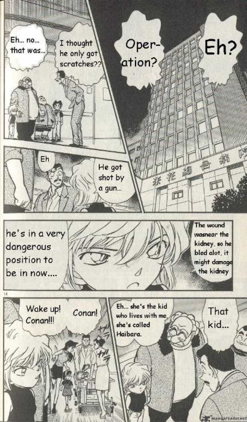 Detective Conan Chapter 253 Page 14