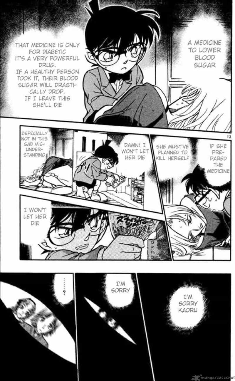 Detective Conan Chapter 324 Page 13