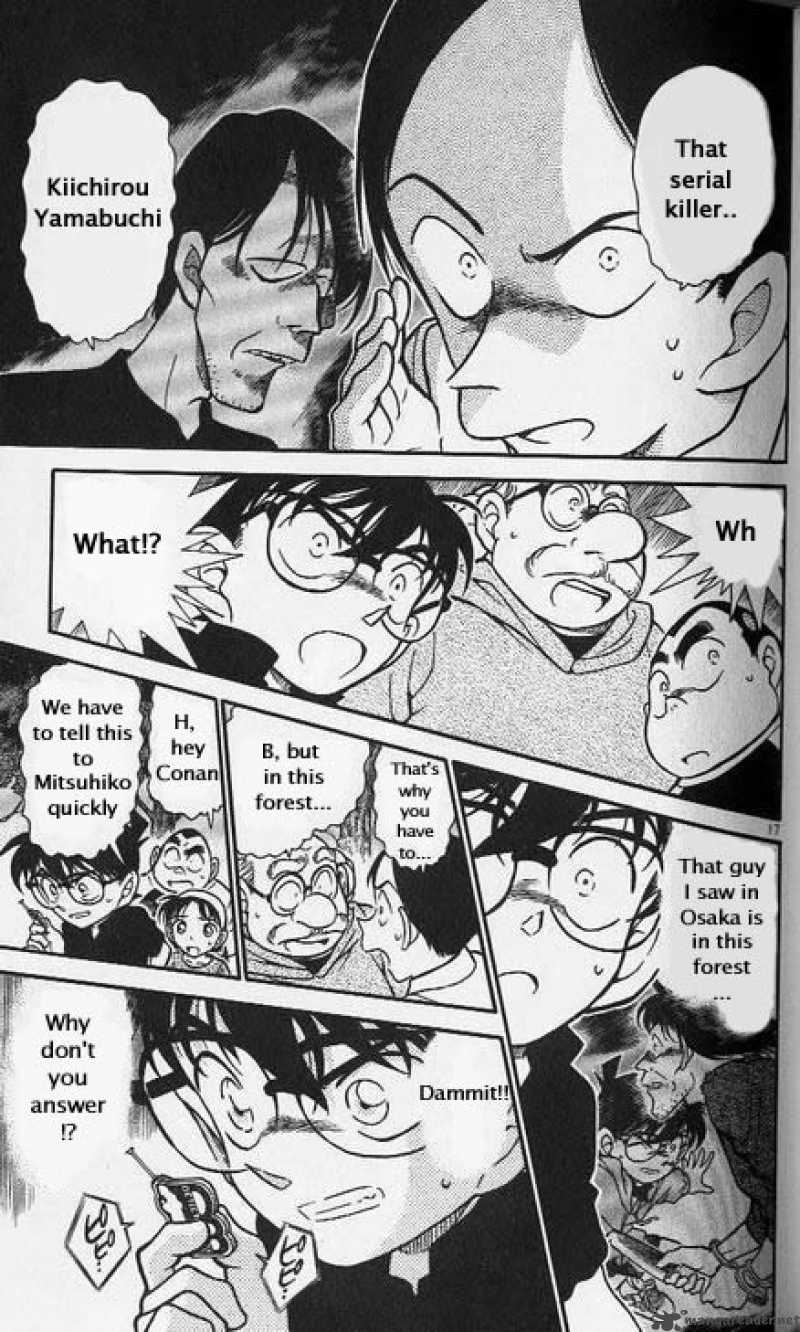 Detective Conan Chapter 358 Page 17