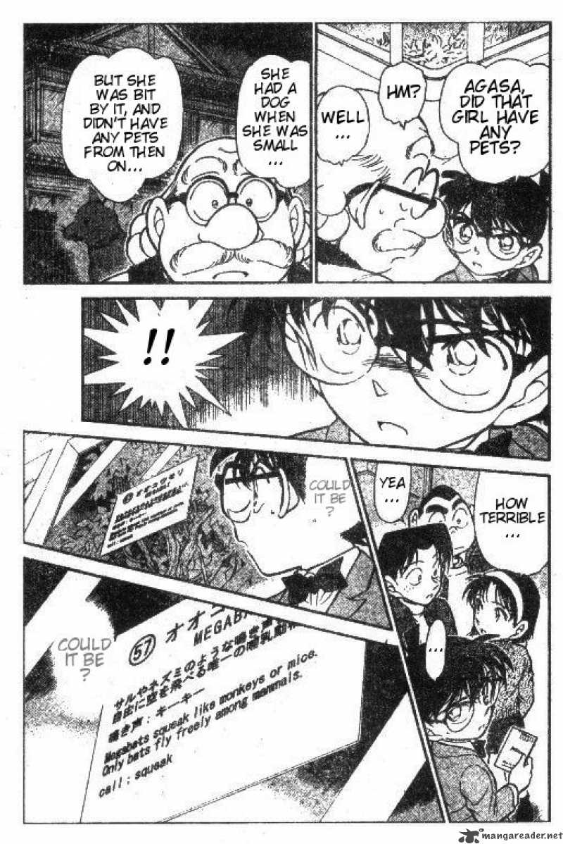 Detective Conan Chapter 411 Page 15