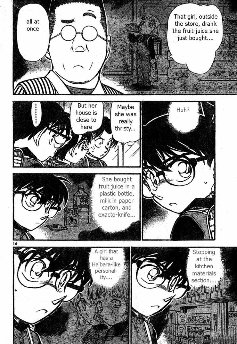 Detective Conan Chapter 506 Page 14