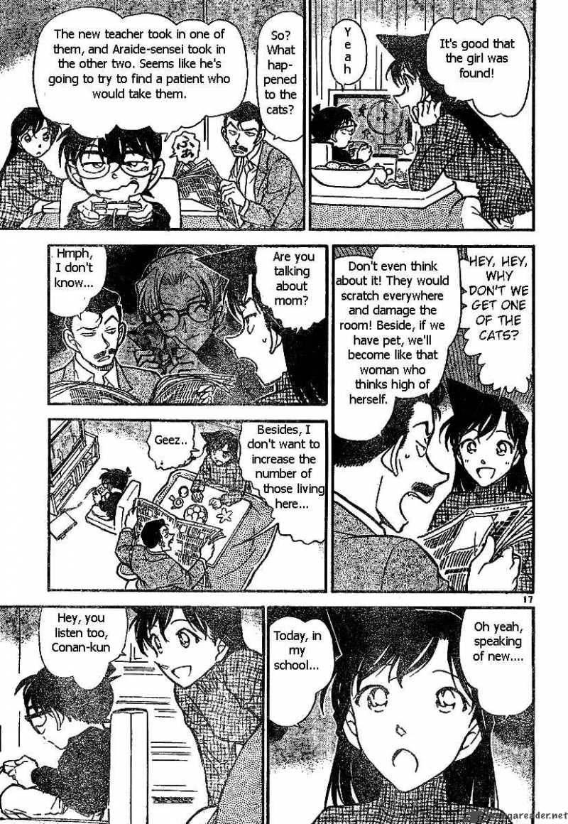 Detective Conan Chapter 507 Page 17