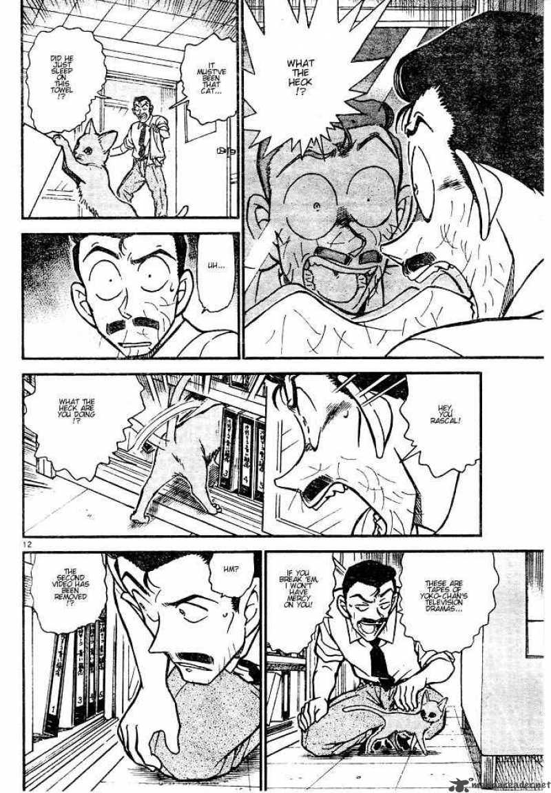 Detective Conan Chapter 528 Page 12