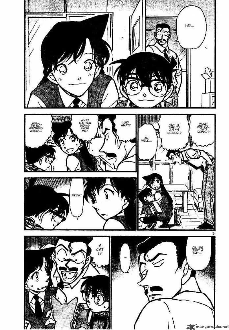 Detective Conan Chapter 528 Page 3