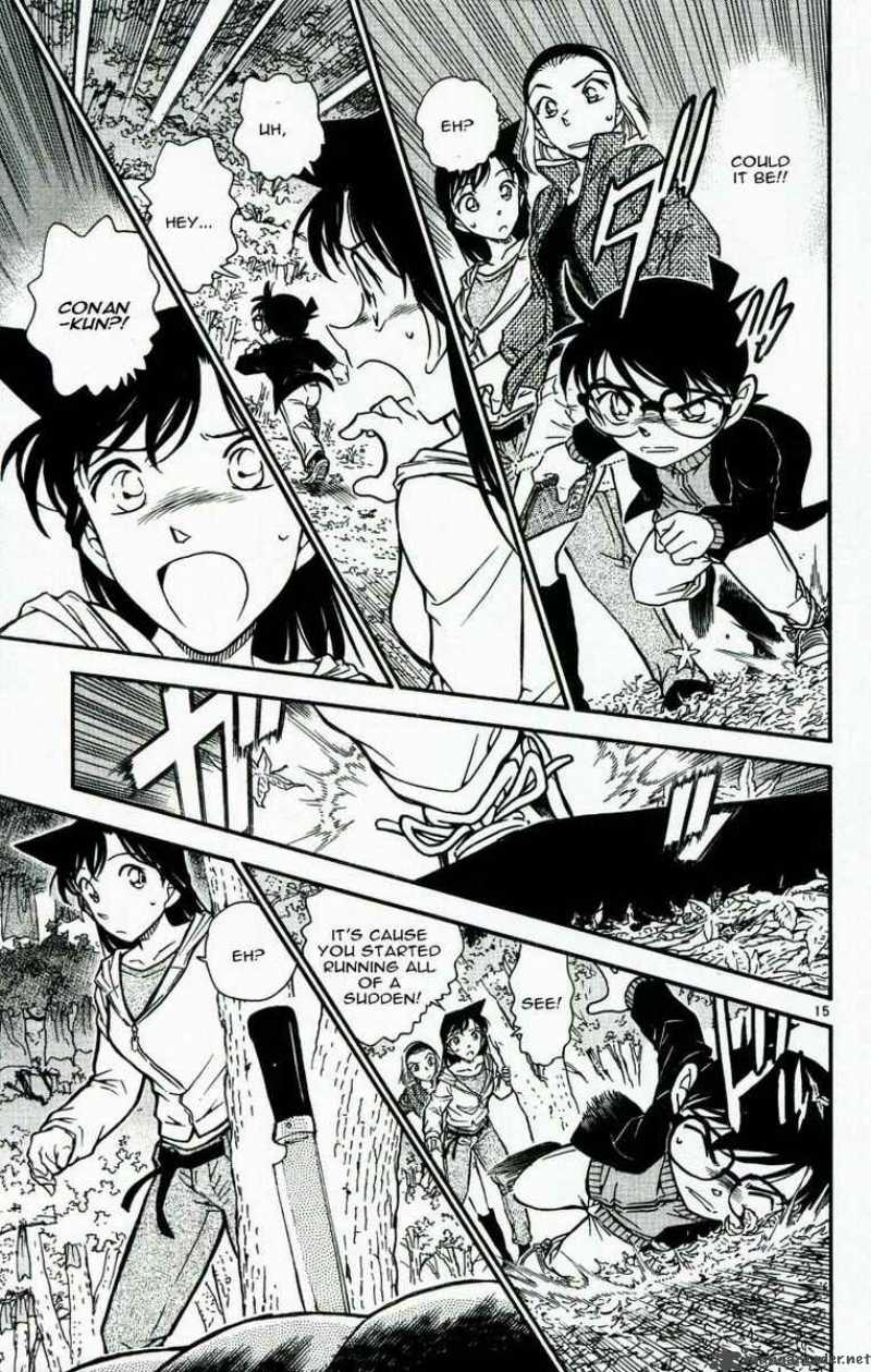 Detective Conan Chapter 541 Page 15