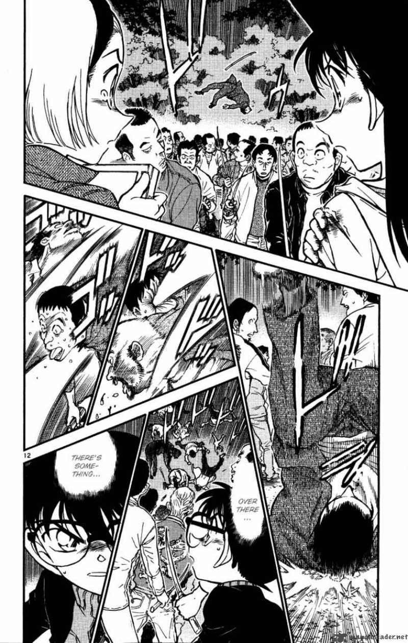 Detective Conan Chapter 543 Page 12