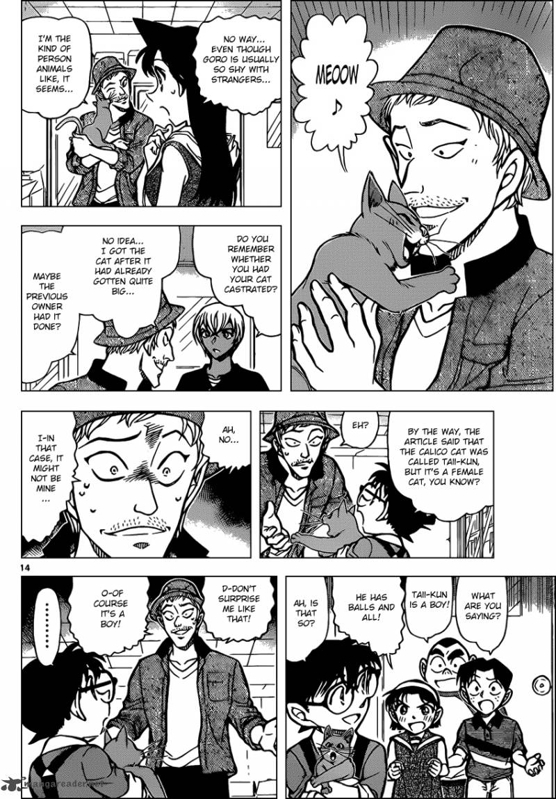 Detective Conan Chapter 865 Page 14