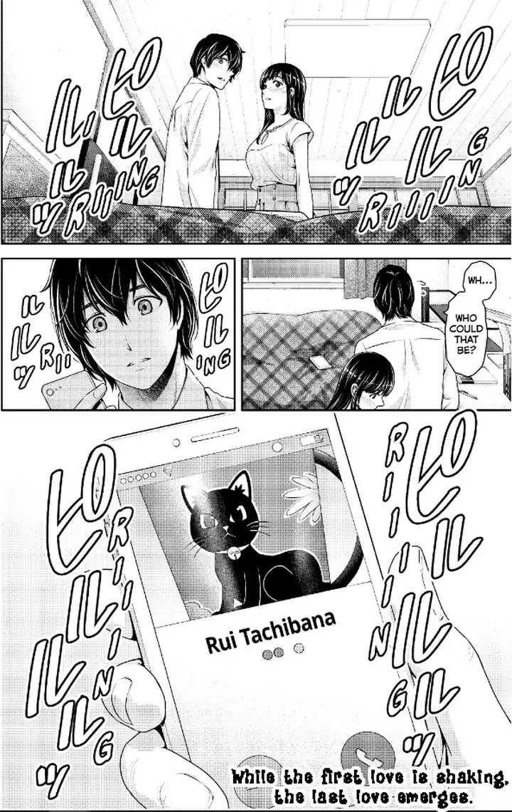 Domestic Na Kanojo Chapter 237 Page 19