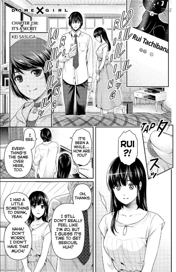 Domestic Na Kanojo Chapter 238 Page 2