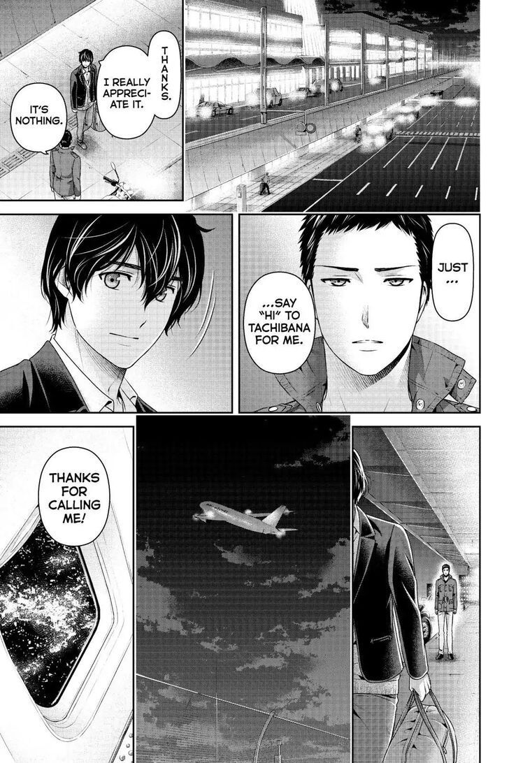 Domestic Na Kanojo Chapter 250 Page 7