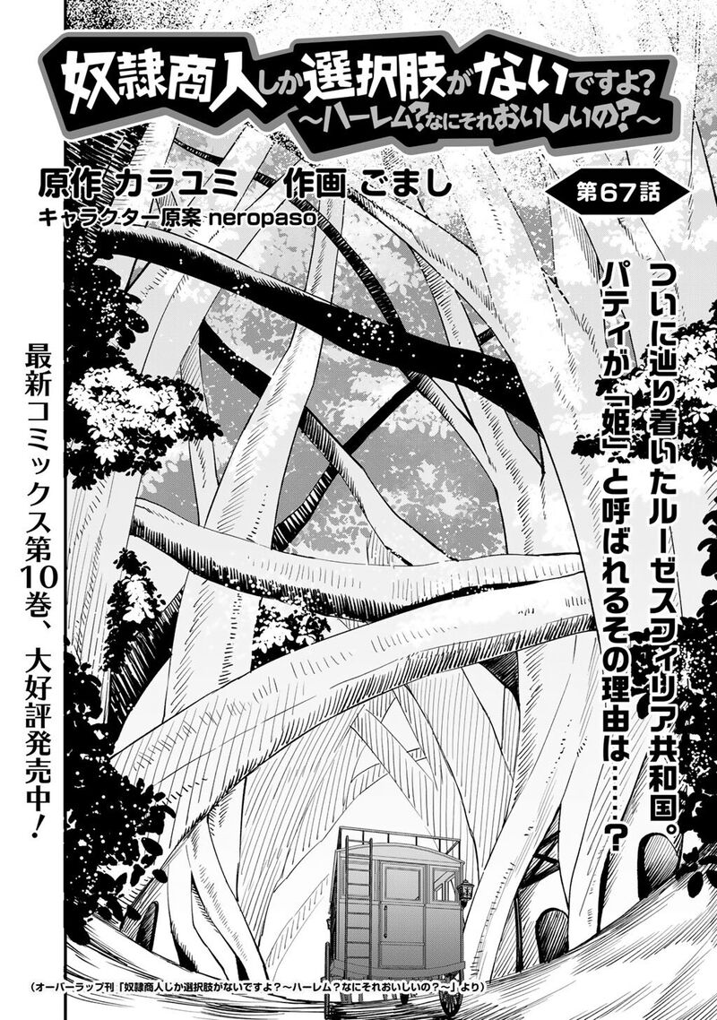 Dorei Shounin Shika Sentakushi Ga Nai Desu Yo Harem Nani Sore OishII No Chapter 67 Page 3