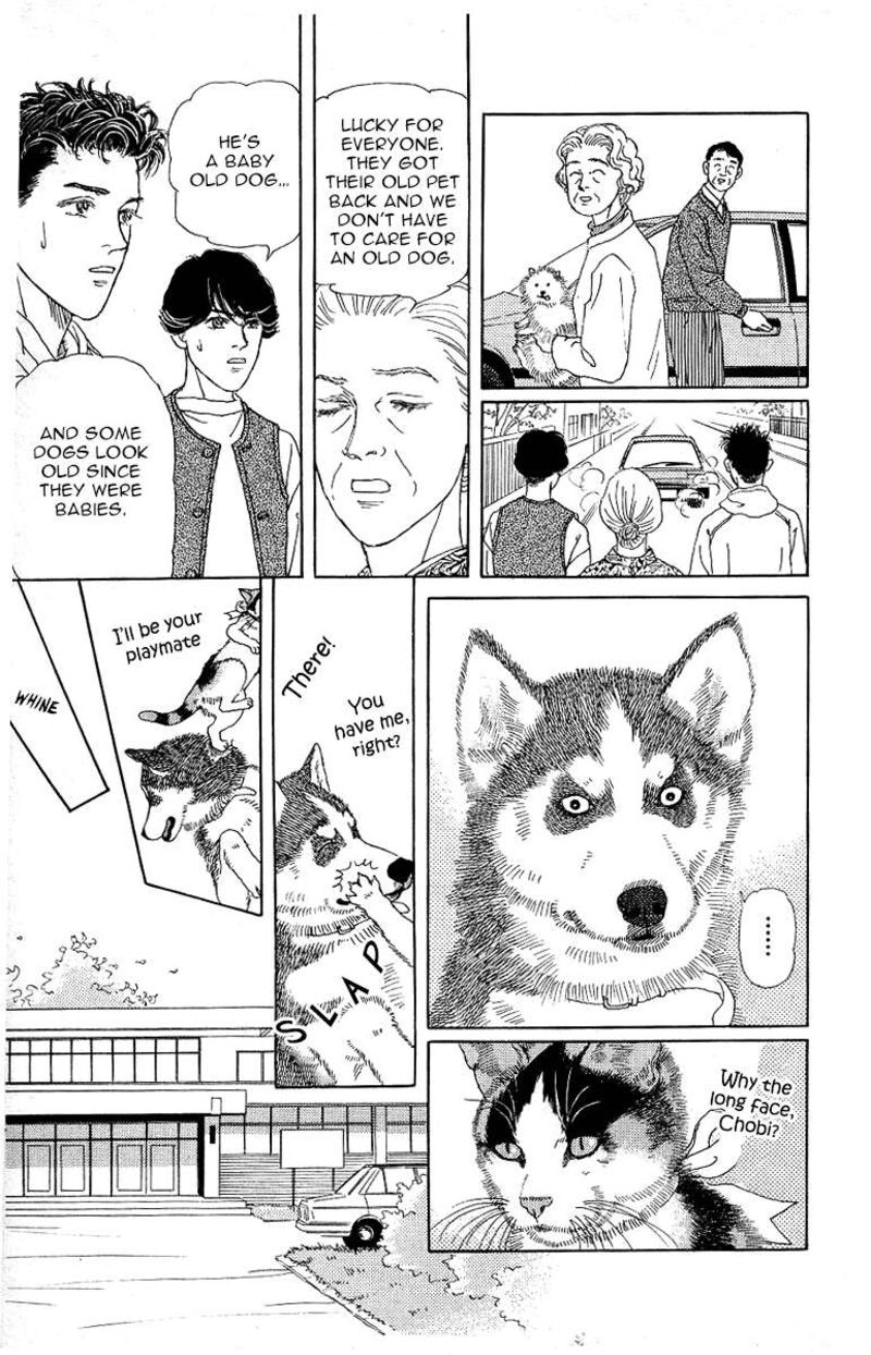 Doubutsu No Oishasan Chapter 115 Page 17