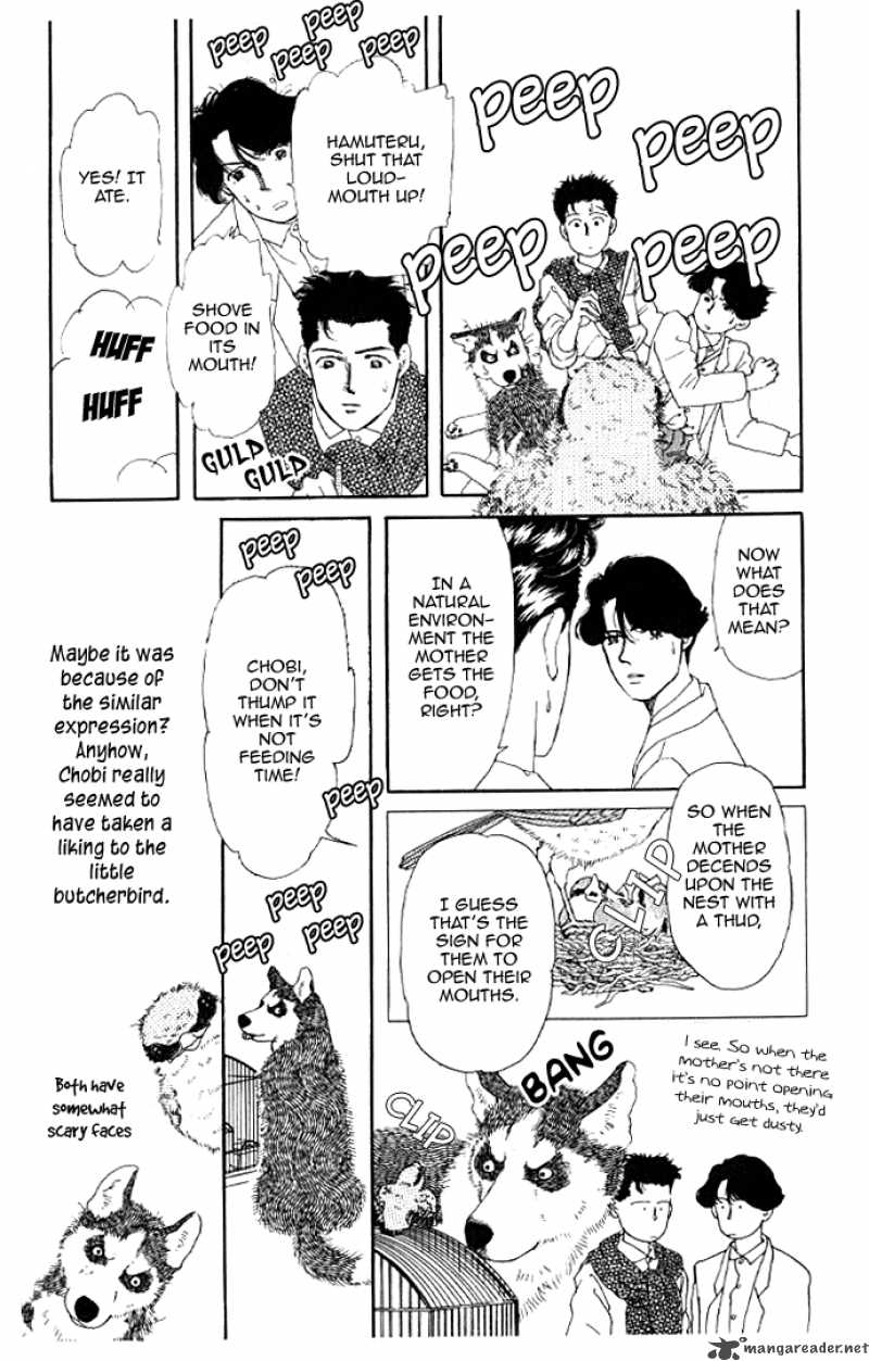 Doubutsu No Oishasan Chapter 13 Page 5