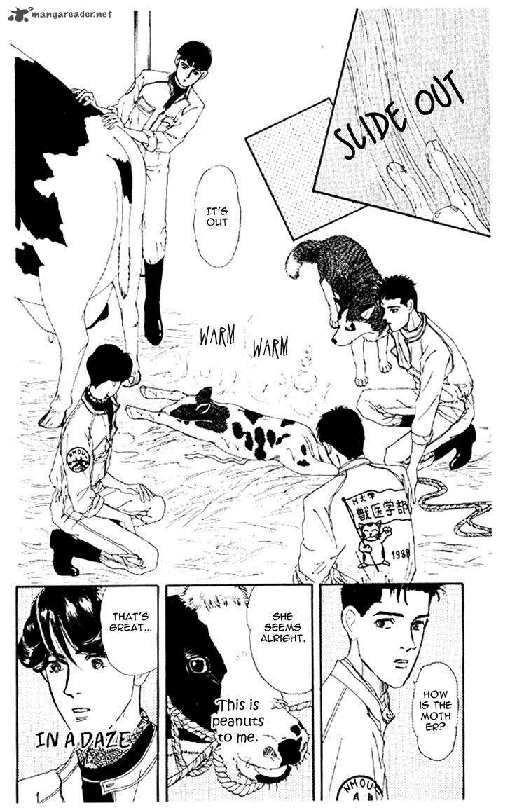 Doubutsu No Oishasan Chapter 46 Page 16