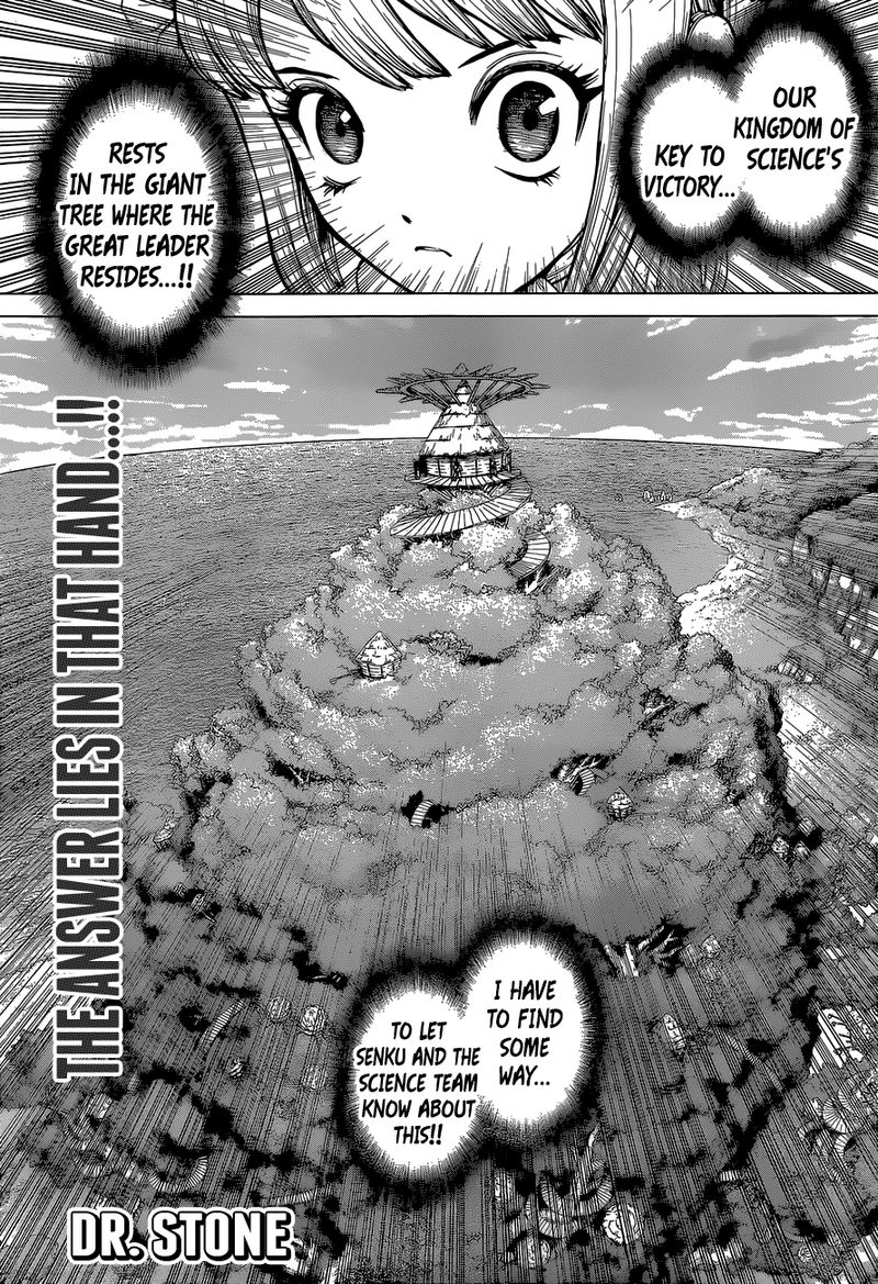 Dr Stone Chapter 113 Page 1