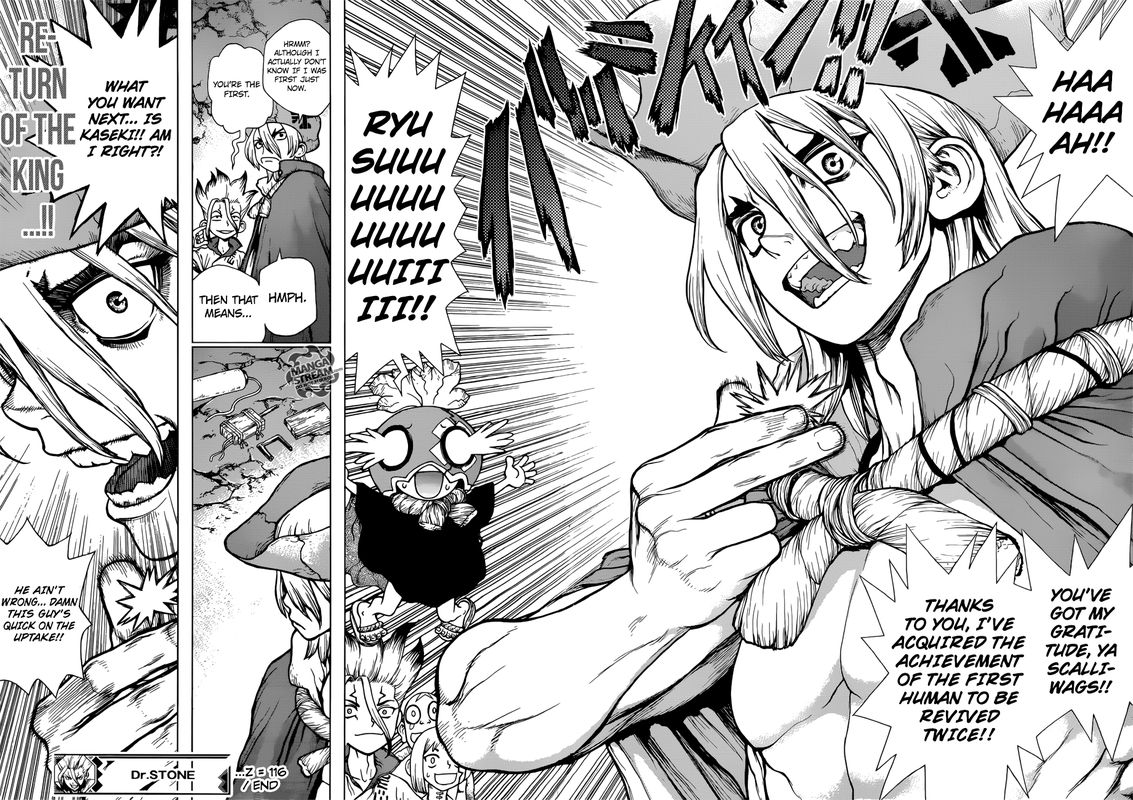 Dr Stone Chapter 116 Page 17