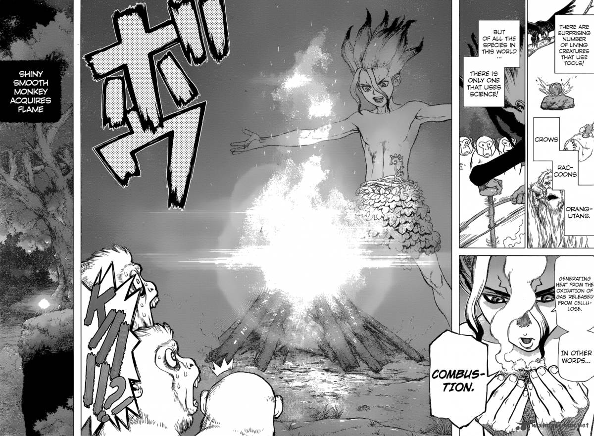Dr Stone Chapter 13 Page 15
