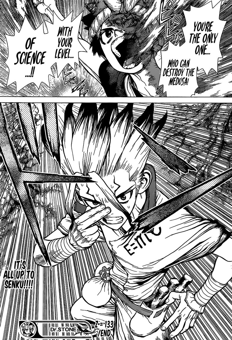 Dr Stone Chapter 133 Page 17
