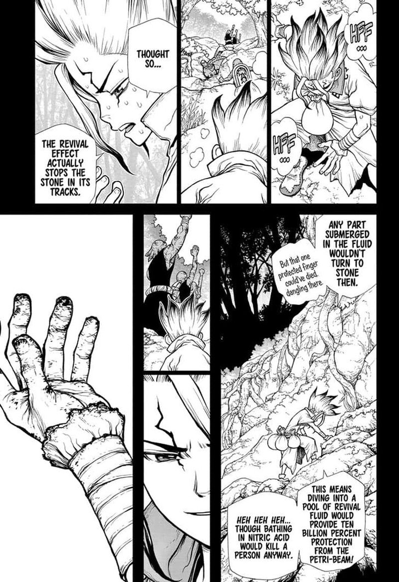 Dr Stone Chapter 135 Page 11