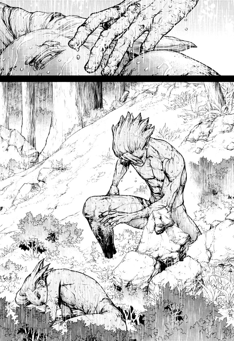 Dr Stone Chapter 157 Page 13