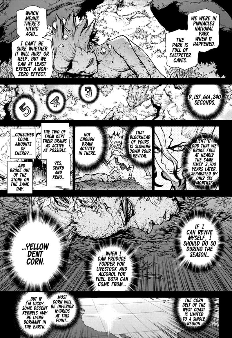 Dr Stone Chapter 157 Page 14