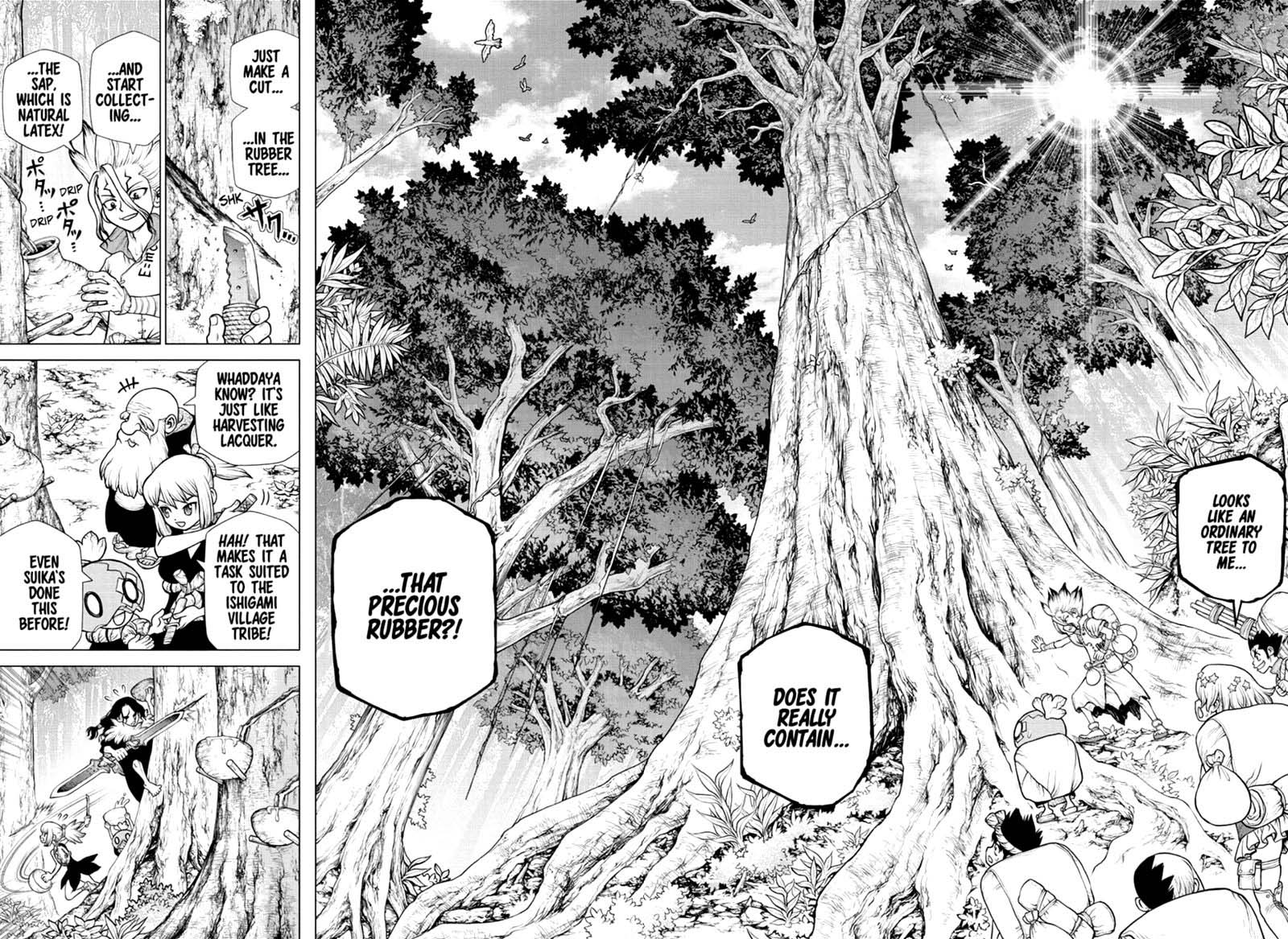 Dr Stone Chapter 174 Page 11