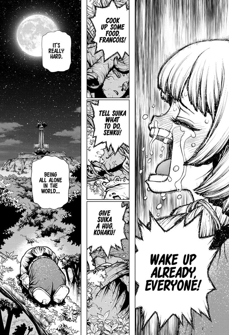 Dr Stone Chapter 194 Page 13