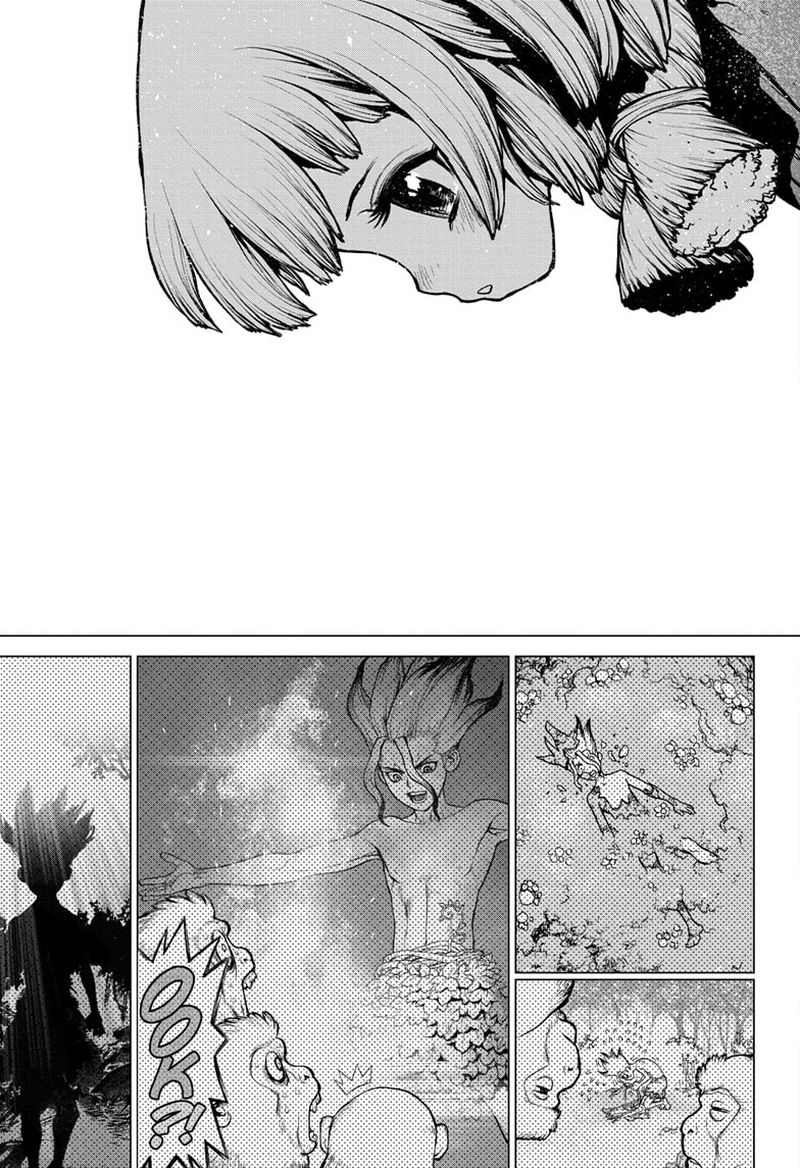 Dr Stone Chapter 194 Page 14