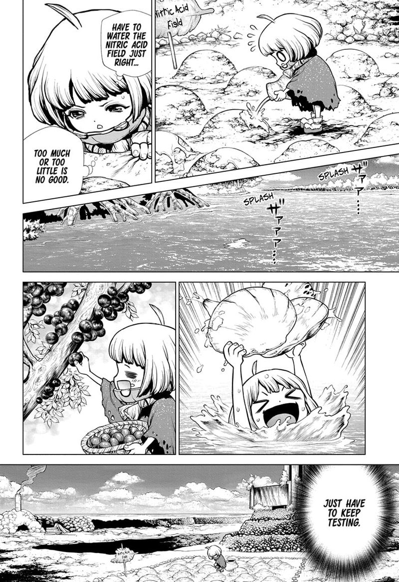 Dr Stone Chapter 196 Page 12