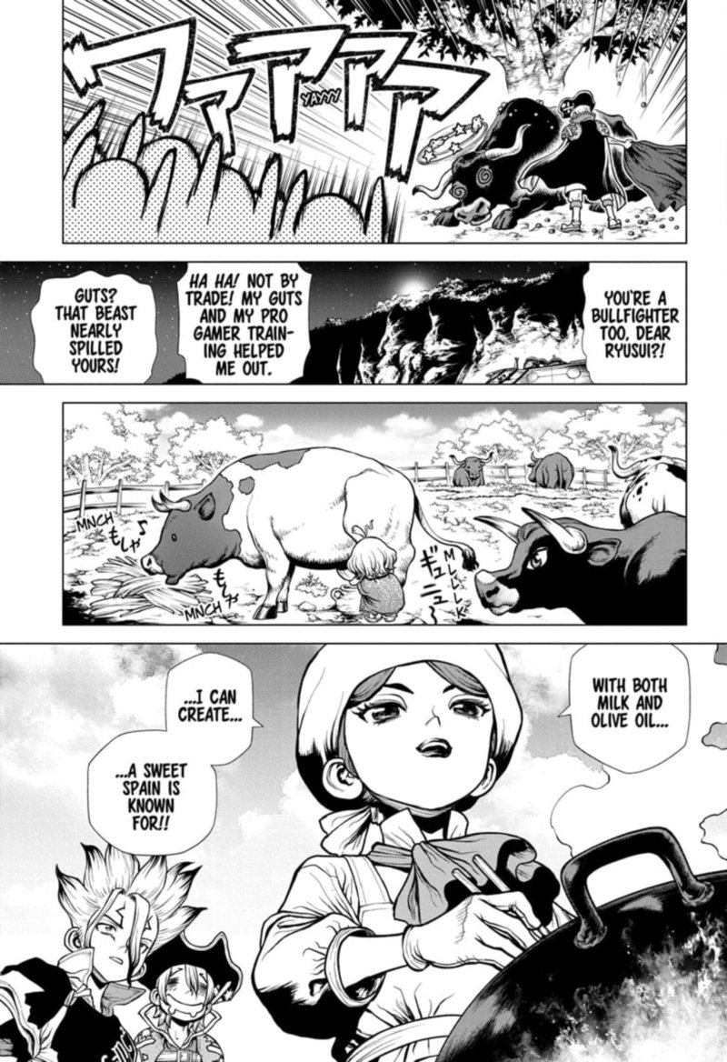 Dr Stone Chapter 202 Page 12