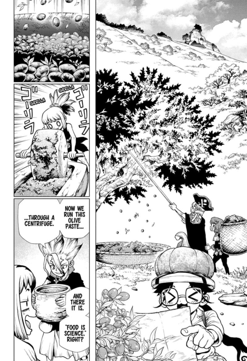 Dr Stone Chapter 202 Page 5