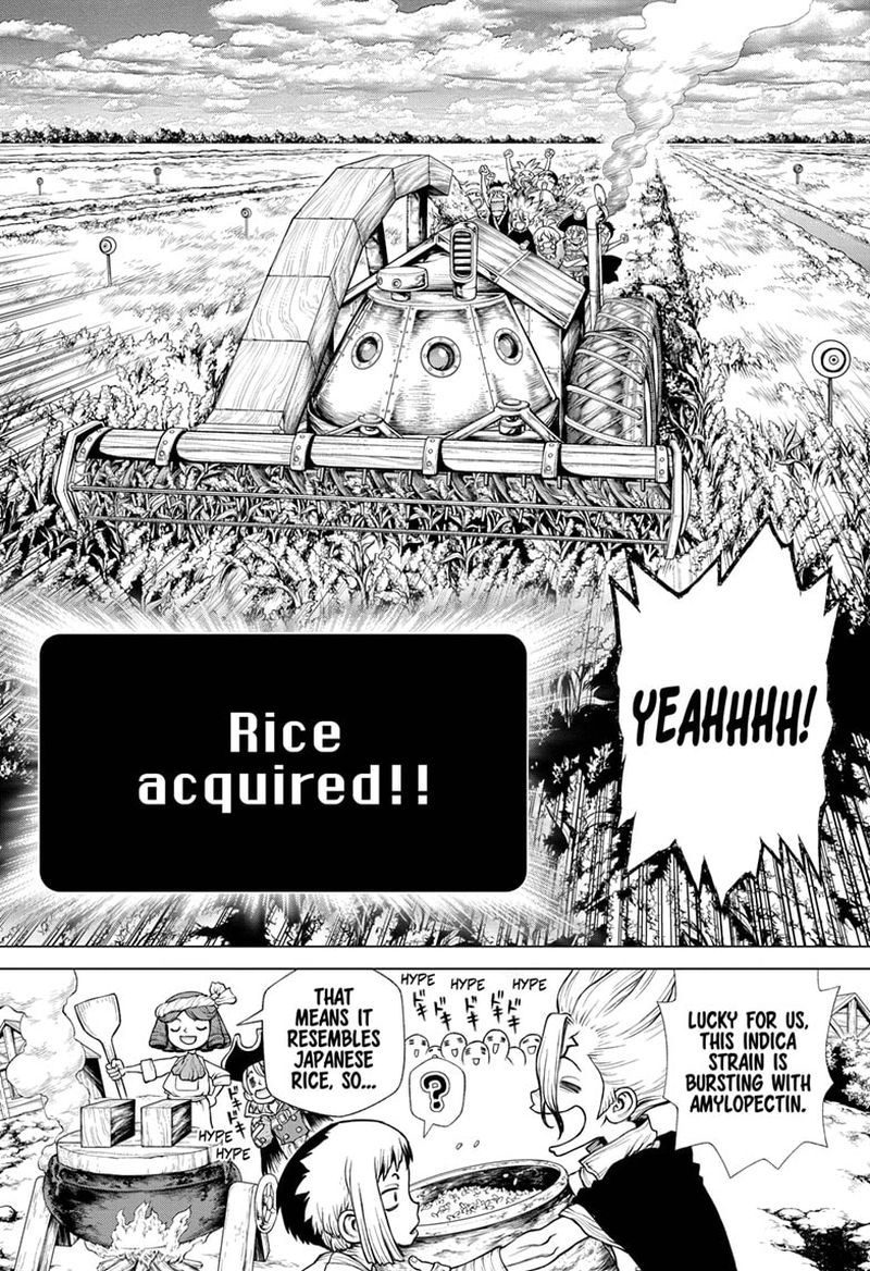 Dr Stone Chapter 211 Page 12